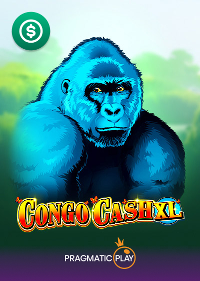 Congo Cash XL