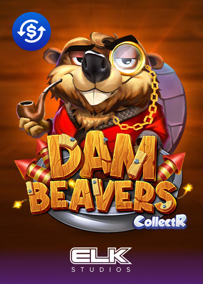 Dam Beavers