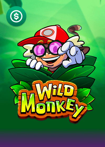 Wild Monkey